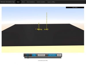 Remote rendering of physics simulations and scalability aspects  in web applications