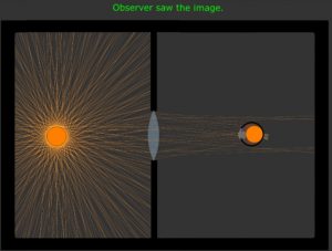 Development of a virtual teaching environment with Algodoo: eye and cactus type light source models